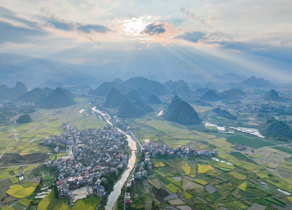 风景
晚稻
金色
秋色
道县