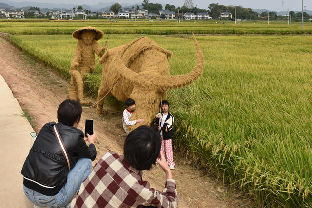 体验农耕 回归自然 