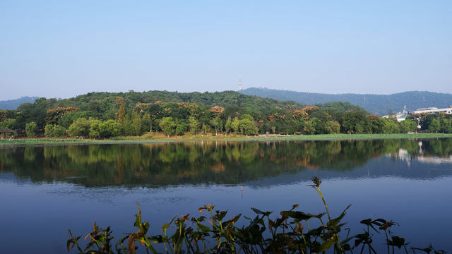 桃子湖，秋色美