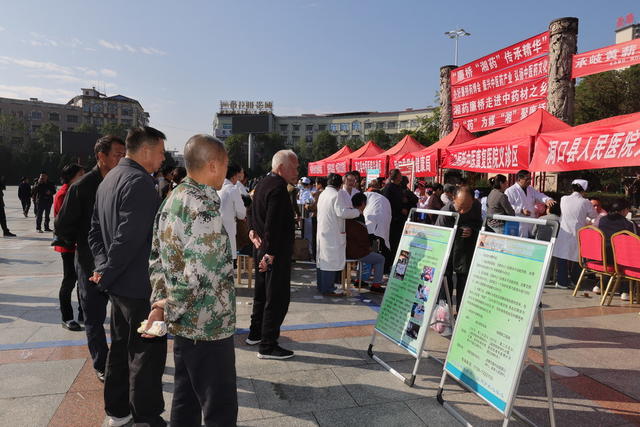 中医 义诊  廉桥药博会 弘扬中医药文化 健康