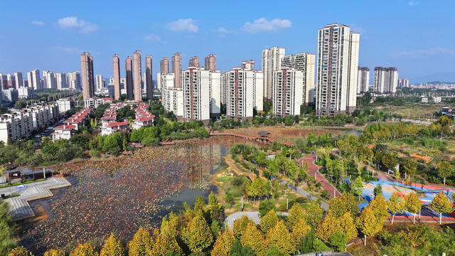 口袋 公园