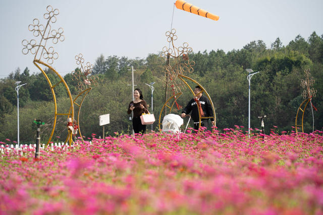 秋日美景 乡村游