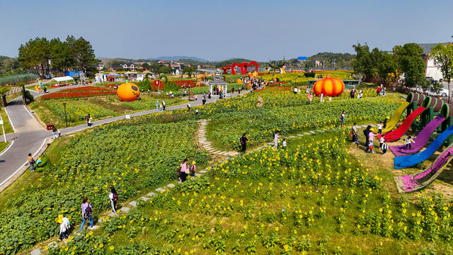 秋日美景 乡村游