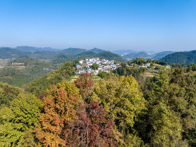 鱼洞村 层林尽染 多彩 冬日美景