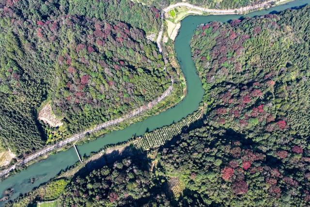 彩叶 山林 彩妆 初冬 冬景