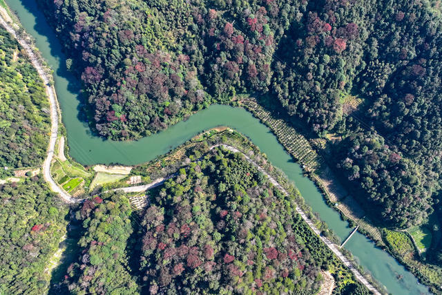 彩叶 山林 彩妆 初冬 冬景