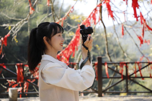 湖南 新田 千年银杏 引客来