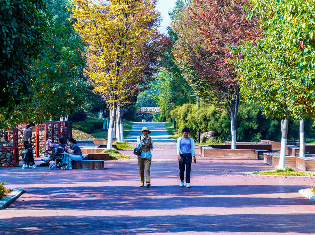 湿地公园  自然生态