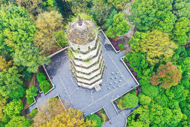 公园  健身  太极拳  秋景 