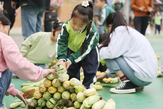 幼儿 教育 体育 运动 劳动