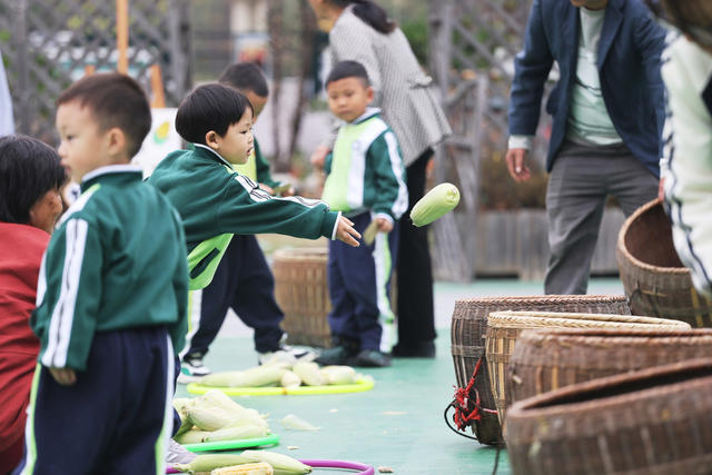 幼儿 教育 体育 运动 劳动