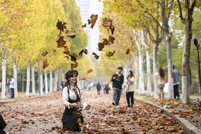 娄底 初冬 美景 色彩斑斓 周末