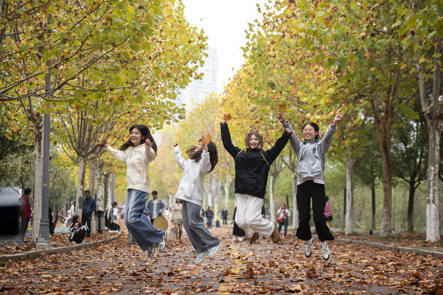 娄底 初冬 美景 色彩斑斓 周末