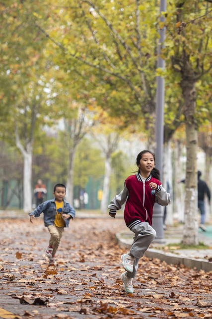 娄底 初冬 美景 色彩斑斓 周末