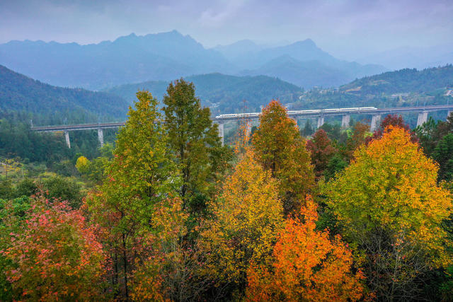 湖南，湘西，风景，层林尽染，列车，飞驰，美不胜收