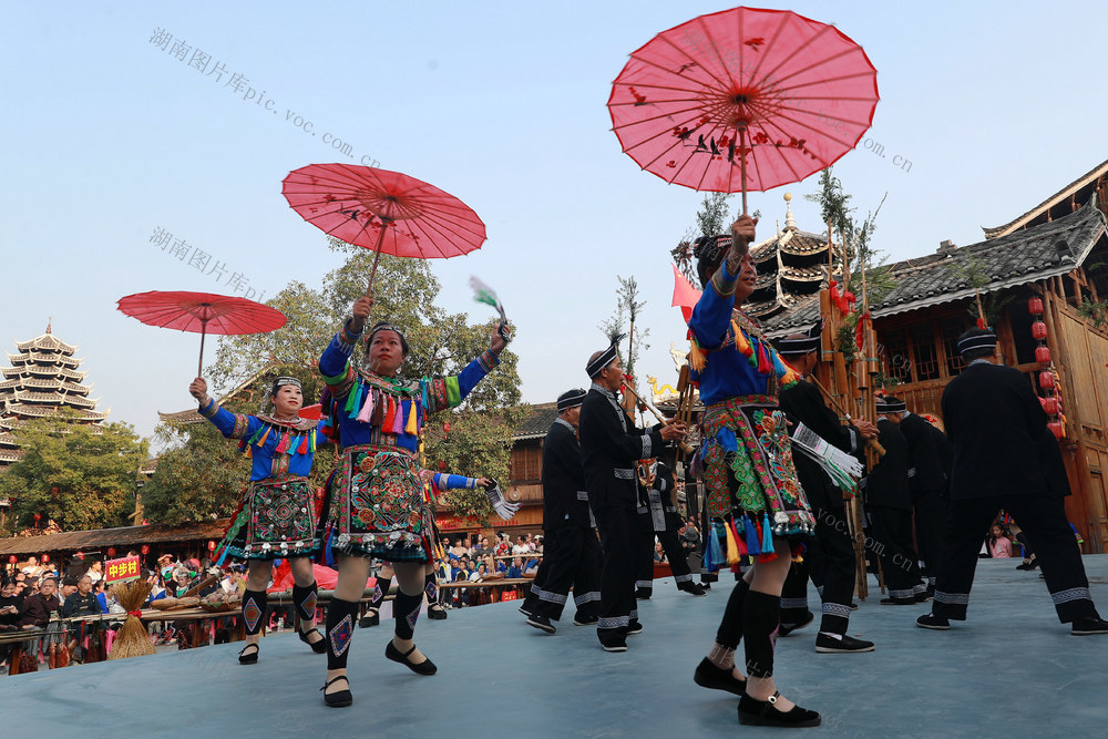 侗族同胞 欢度侗年 丰收 载歌载舞 传统节日 

