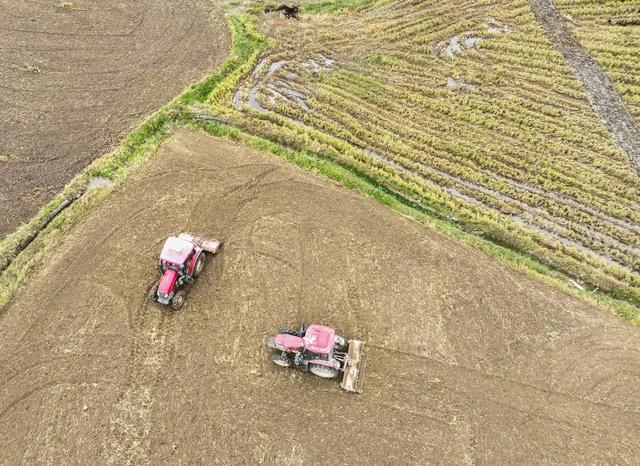 蔬菜
农事
初冬
