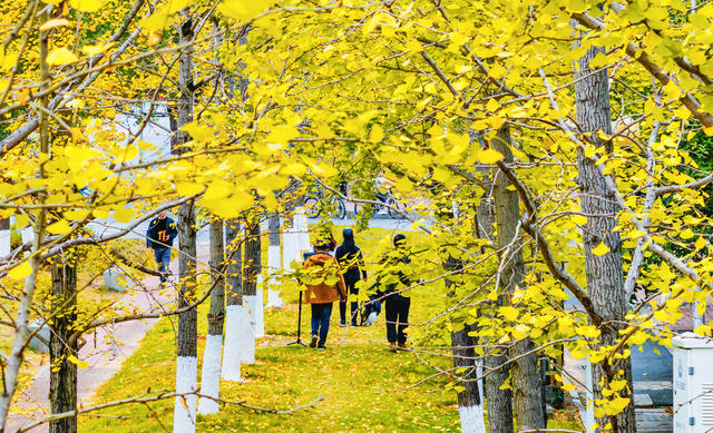 城市绿化