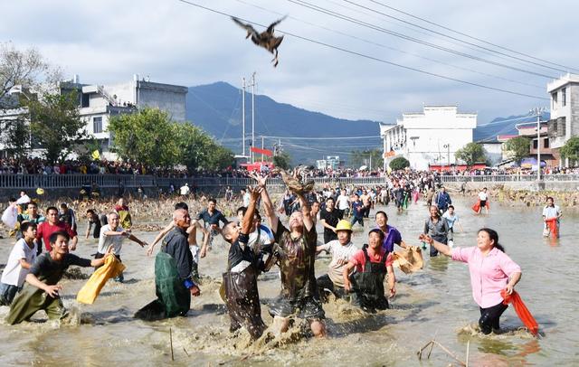   多彩活动庆丰收