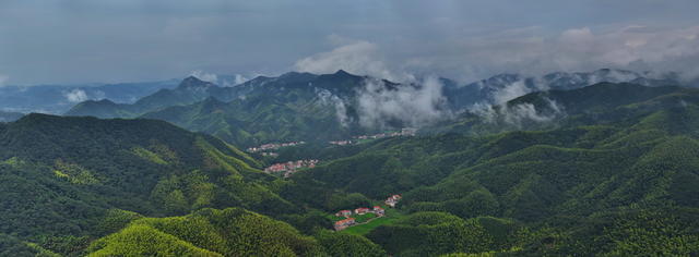 湘北  竹林 新农村