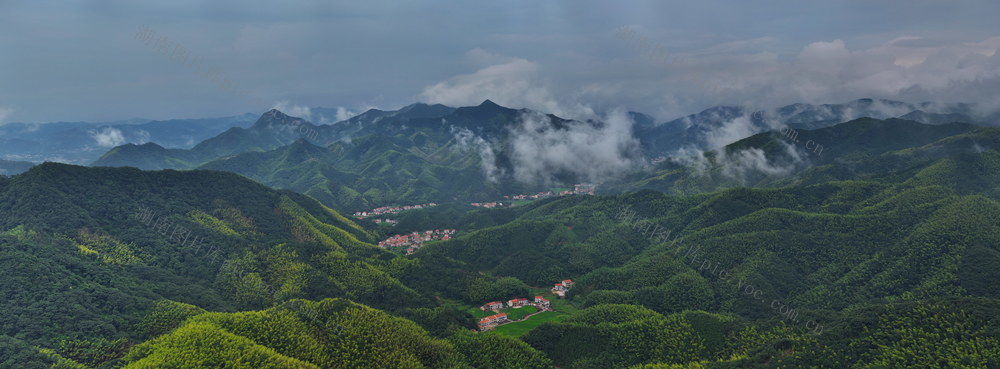 湘北  竹林 新农村