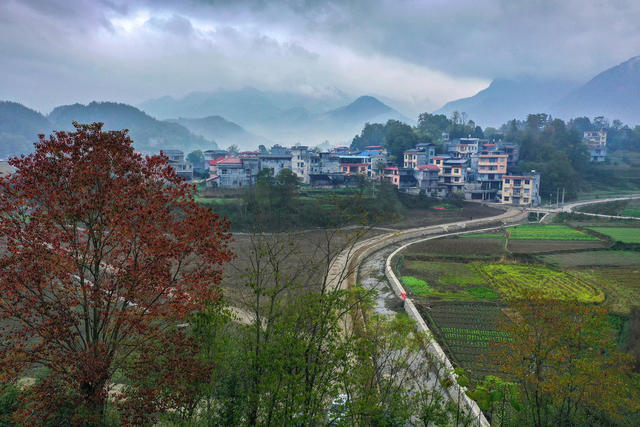 湖南，龙山，初冬，山寨，美，云雾，树木