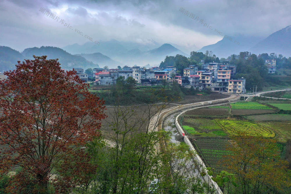 湖南，龙山，初冬，山寨，美，云雾，树木