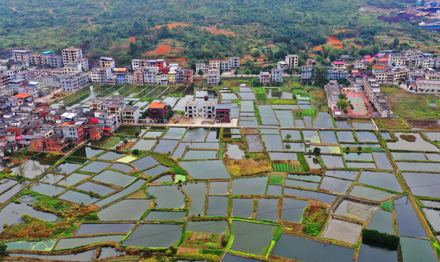 嘉禾：生态鱼塘产业兴