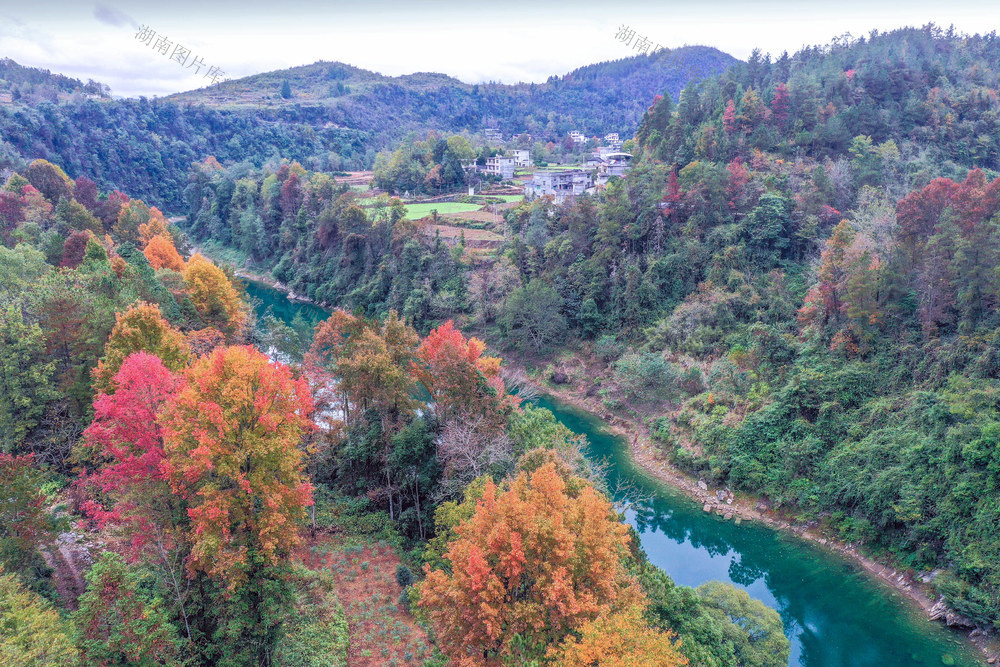 湖南，湘西，初冬，景色，层林，河水，山村，风景