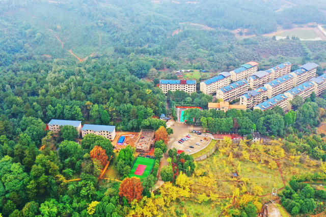 嘉禾：层林尽染，美景如画