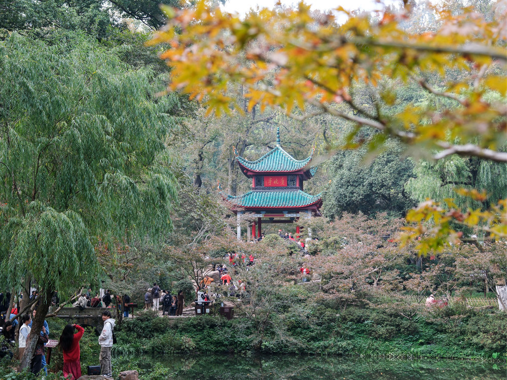 爱晚亭