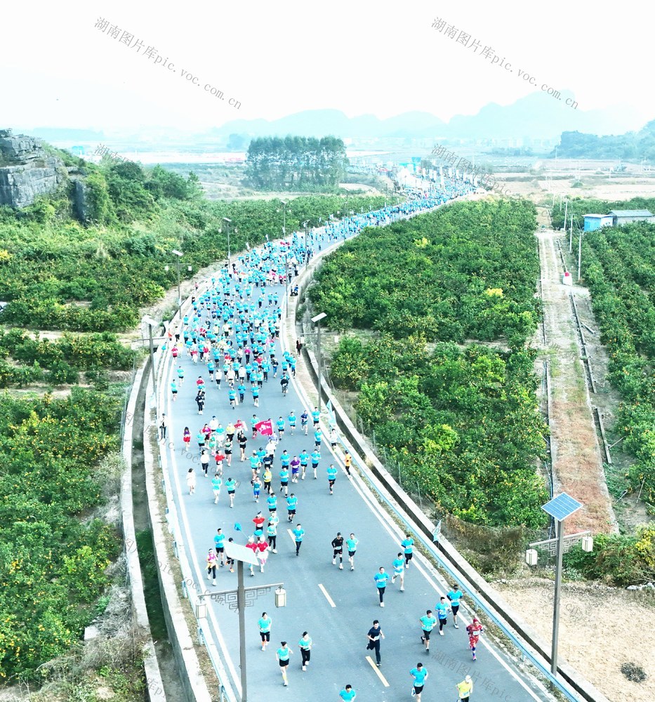  乡间马拉松  奔跑田野间