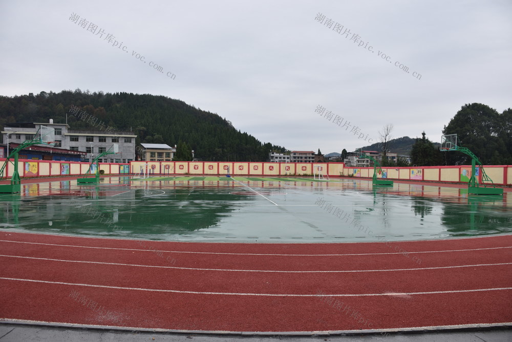 雨中校园 焕发生机