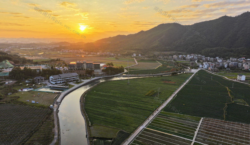 田园  蔬菜  美景  乡村  初冬