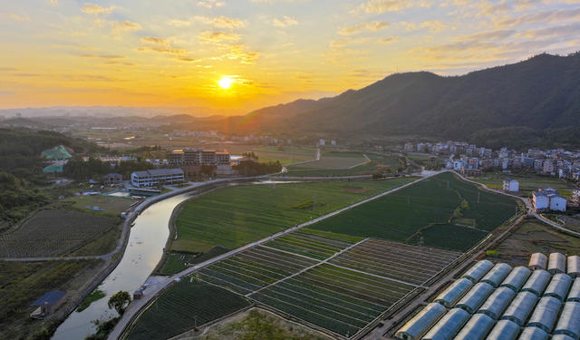 田园  蔬菜  美景  乡村  初冬