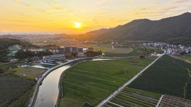 田园  蔬菜  美景  乡村  初冬