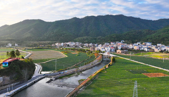 田园  蔬菜  美景  乡村  初冬