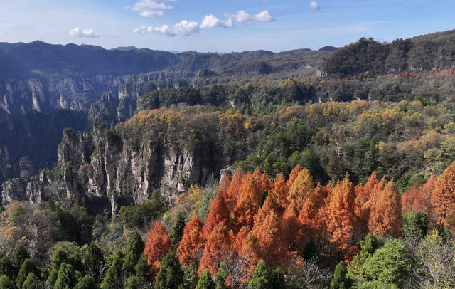 张家界 天子山