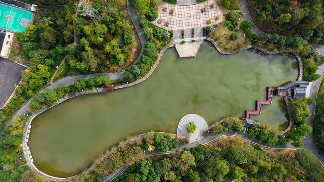 冬日  公园  美景 如画  景色