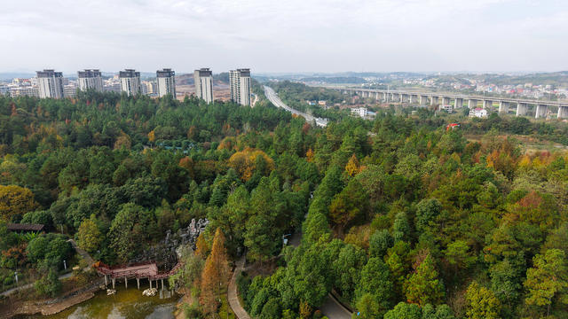 冬日  公园  美景 如画  景色