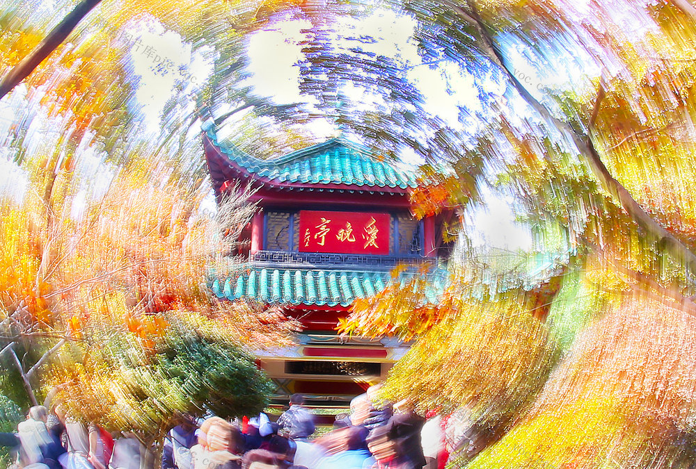爱晚  赏枫