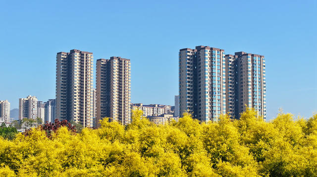 生态  城市  绿色  美景