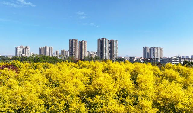 生态  城市  绿色  美景