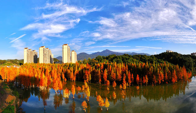 香杉湖初冬胜景
