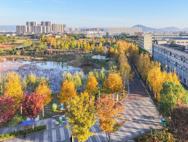 生态公园
道县
冬景