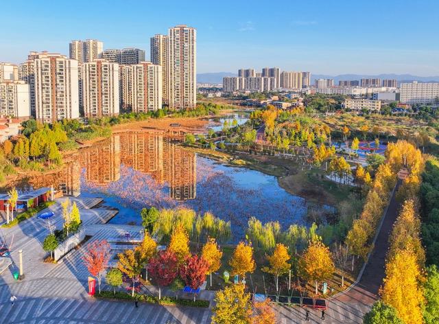 生态公园
道县
冬景
