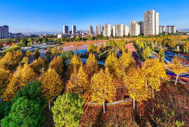 生态公园
道县
冬景