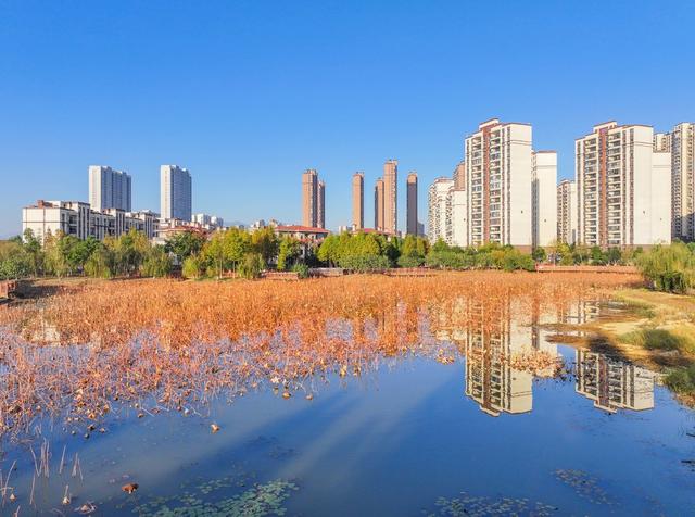 生态公园
道县
冬景