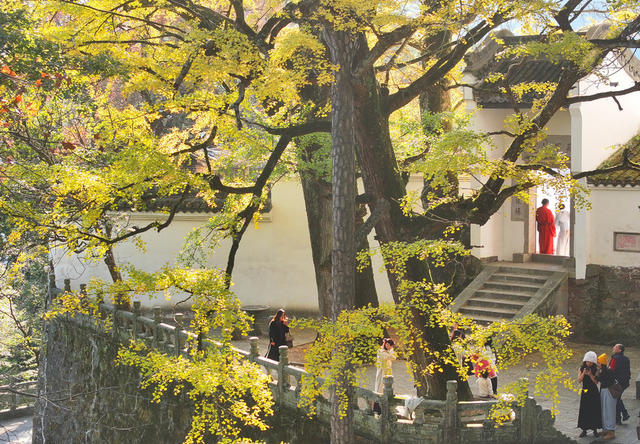 冬日 美景 色彩 斑斓 