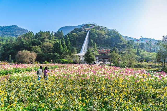 全域旅游  文旅融合  乡村振兴